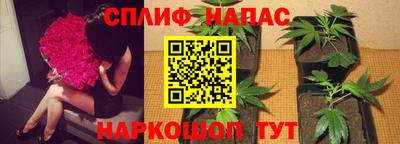 ECSTASY Кунгур