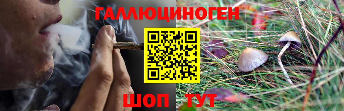 Псилоцибиновые грибы мицелий Зеленодольск