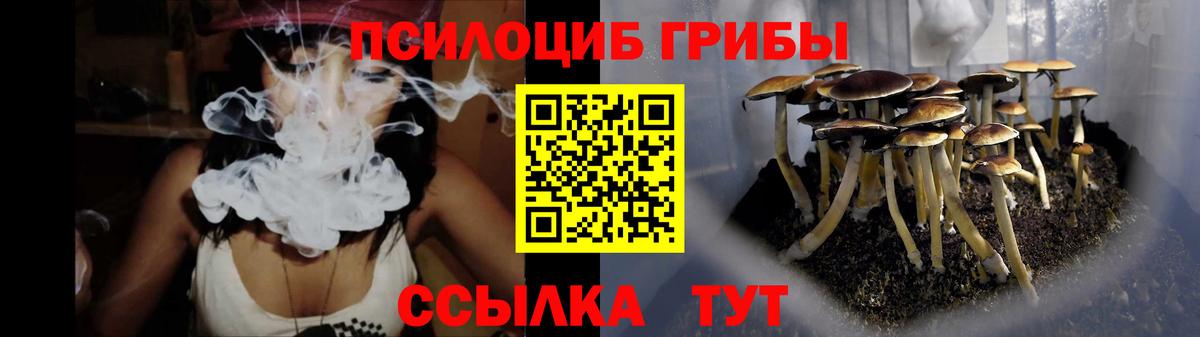 Галлюциногенные грибы прущие грибы  Вход с VPN  Псилоцибиновые грибы Cubensis  Зеленодольск 